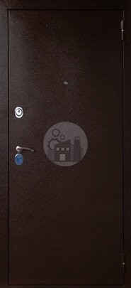 Элитная металлическая дверь с двумя петлями, порошковое напыление и шпон-ДВ-528