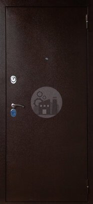 элитная металлическая дверь с двумя петлями, порошковое напыление и шпон-ДВ-528